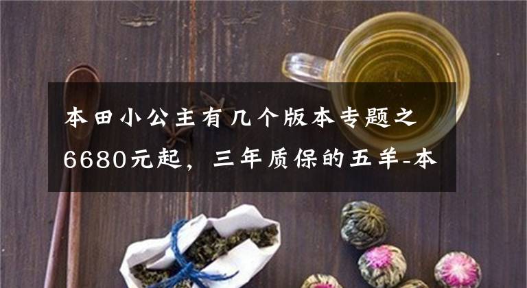 本田小公主有几个版本专题之6680元起,三年质保的五羊-本田“小小公主”喜蕴100正式发布
