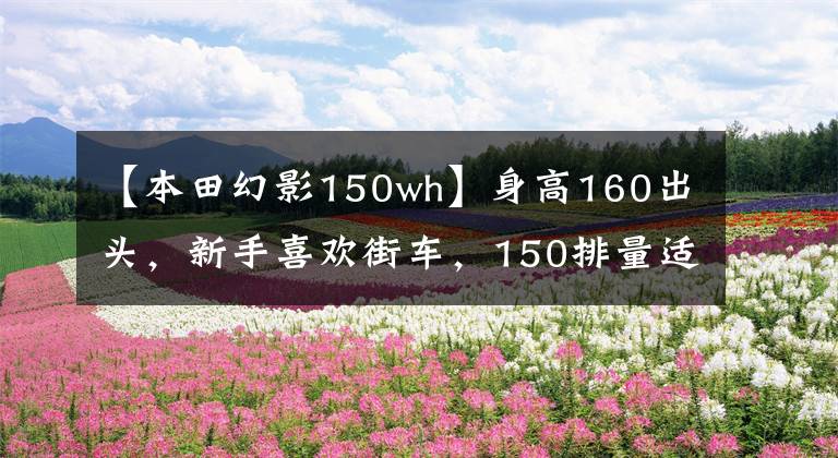 【本田幻影150wh】身高160出头,新手喜欢街车,150排量适合哪个?