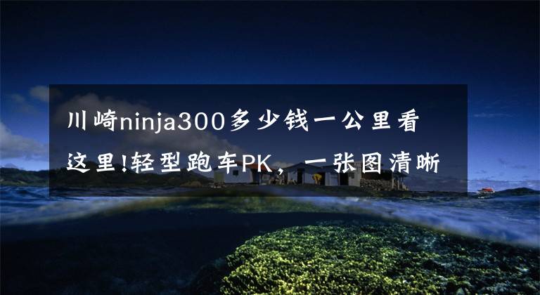 川崎ninja300多少钱一公里看这里!轻型跑车PK,一张图清晰对比RC390、NINJA300、CBR250RR和R3