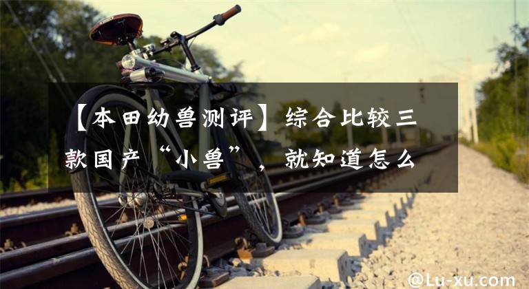 【本田幼兽测评】综合比较三款国产“小兽”,就知道怎么选择了?