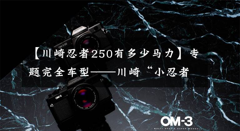 【川崎忍者250有多少马力】专题完全车型——川崎“小忍者”你都看清了吗?