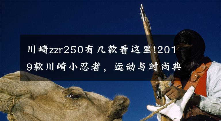 川崎zzr250有几款看这里!2019款川崎小忍者，运动与时尚典范
