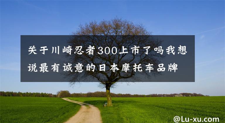 关于川崎忍者300上市了吗我想说最有诚意的日本摩托车品牌发布国内首款300cc级ADV,价格惊喜!
