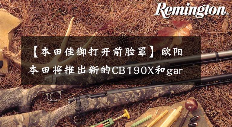 【本田佳御打开前脸罩】欧阳本田将推出新的CB190X和gar  110，外观更亮，配置升级