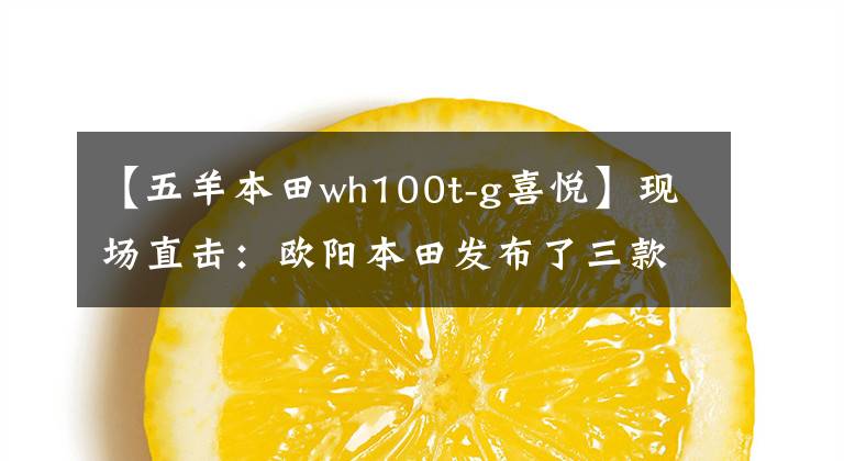 【五羊本田wh100t-g喜悦】现场直击:欧阳本田发布了三款时尚摩托车和配置!