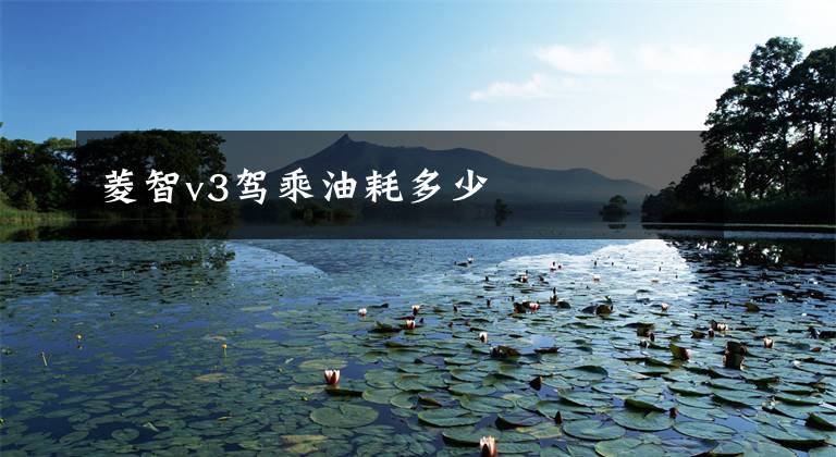 菱智v3驾乘油耗多少
