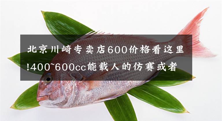 北京川崎专卖店600价格看这里!400~600cc能载人的仿赛或者街车求推荐？预算最高能到川崎Z900