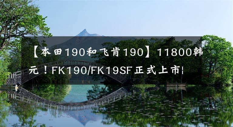 【本田190和飞肯190】11800韩元!FK190/FK19SF正式上市| |FK300系列上市