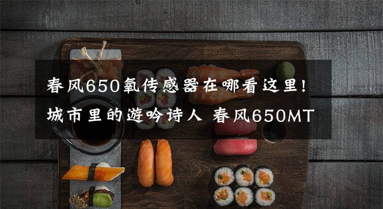 春风650氧传感器在哪看这里!城市里的游吟诗人 春风650MT试车报告