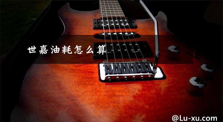 世嘉油耗怎么算