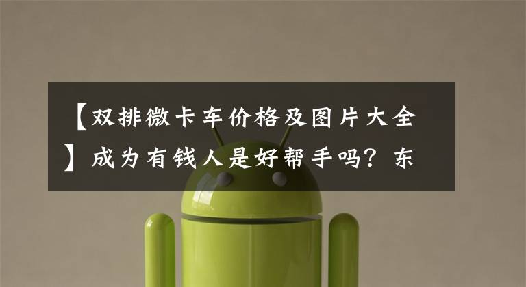 【双排微卡车价格及图片大全】成为有钱人是好帮手吗？东风康康C31S和C32S微卡正式上市，销售4.49万件。