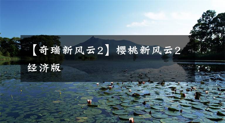 【奇瑞新风云2】樱桃新风云2经济版