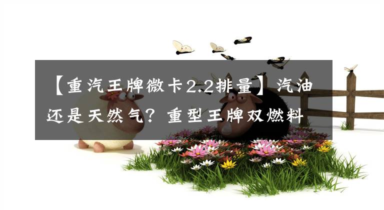 【重汽王牌微卡2.2排量】汽油还是天然气?重型王牌双燃料微卡曝光