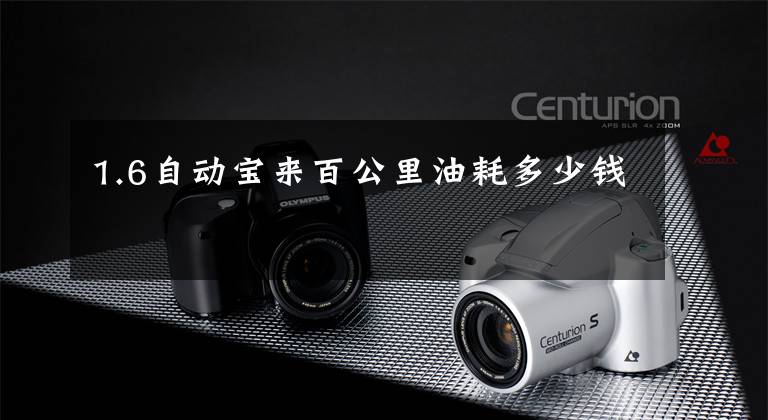 1.6自动宝来百公里油耗多少钱