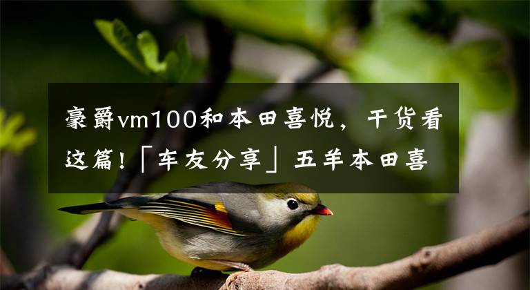 豪爵vm100和本田喜悦,干货看这篇!「车友分享」五羊本田喜悦100电喷近一个月用车感受