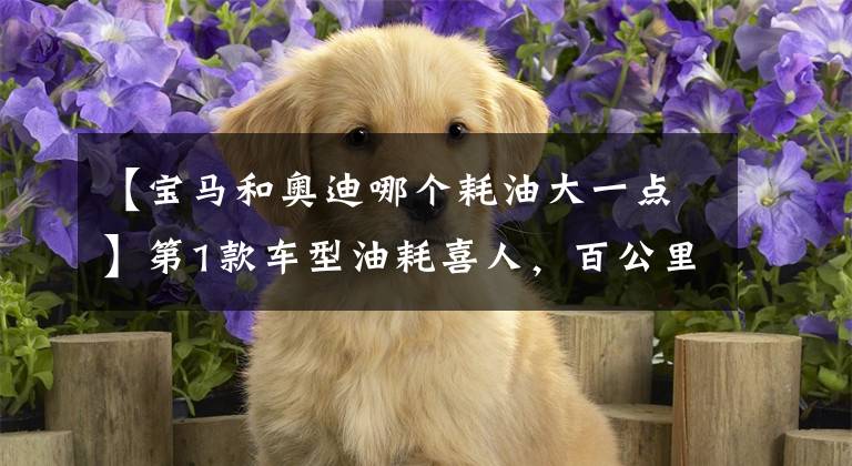 【宝马和奥迪哪个耗油大一点】第1款车型油耗喜人，百公里仅5.41L，4款30万级豪华轿车油耗排行