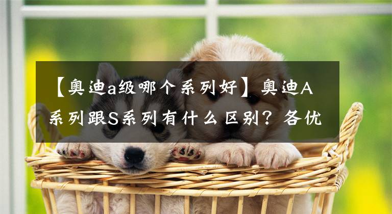 【奥迪a级哪个系列好】奥迪A系列跟S系列有什么区别？各优缺点在哪里？哪个系列比较值