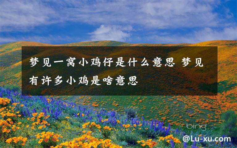 梦见一窝小鸡仔是什么意思 梦见有许多小鸡是啥意思