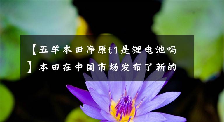 【五羊本田净原t1是锂电池吗】本田在中国市场发布了新的电动车电子移动概念,将于年内上市