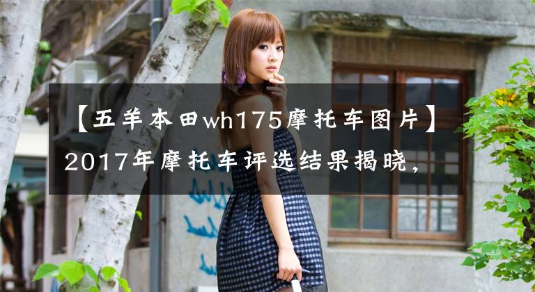 【五羊本田wh175摩托车图片】2017年摩托车评选结果揭晓,心里盘算着要买什么样的摩托车。