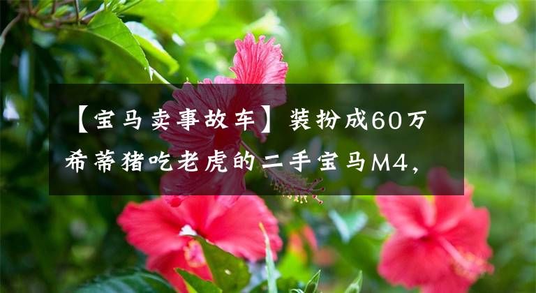 【宝马卖事故车】装扮成60万希蒂猪吃老虎的二手宝马M4,没想到这车也装成故事车。