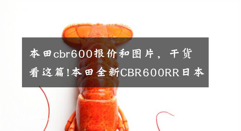 本田cbr600报价和图片,干货看这篇!本田全新CBR600RR日本上市,售价比ZX-6R贵20%