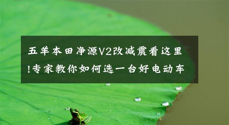 五羊本田净源V2改减震看这里!专家教你如何选一台好电动车