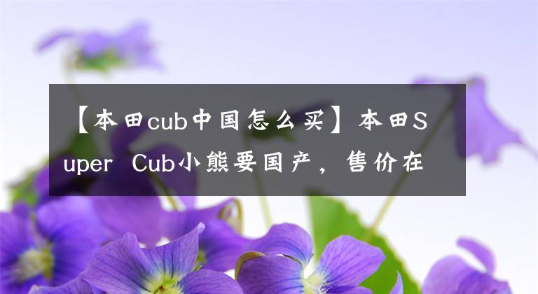 【本田cub中国怎么买】本田Super Cub小熊要国产,售价在一万韩元以内吗?