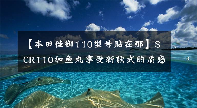 【本田佳御110型号贴在那】SCR110加鱼丸享受新款式的质感。