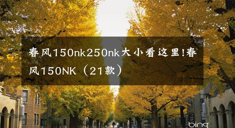 春风150nk250nk大小看这里!春风150NK（21款）