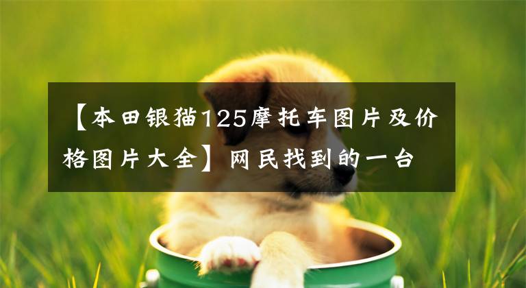 【本田银猫125摩托车图片及价格图片大全】网民找到的一台婴儿93年进口本田CG125 125,1000韩元都觉得值