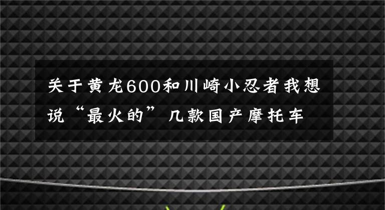 关于黄龙600和川崎小忍者我想说“最火的”几款国产摩托车,极具争议的网红车型