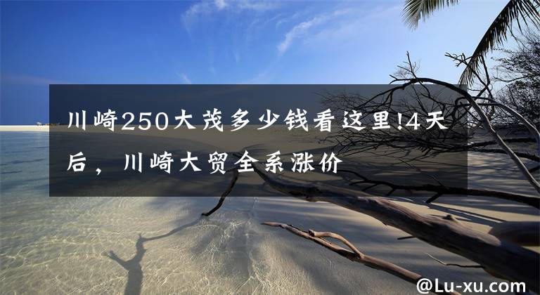 川崎250大茂多少钱看这里!4天后,川崎大贸全系涨价