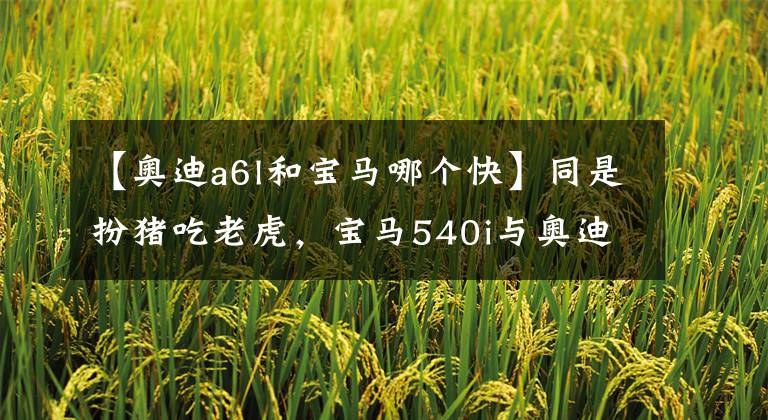 【奥迪a6l和宝马哪个快】同是扮猪吃老虎,宝马540i与奥迪A6L 55TFSI该怎么选?