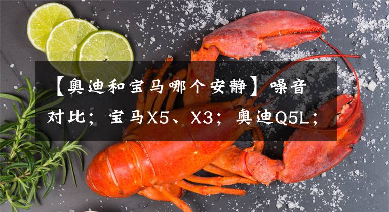 【奥迪和宝马哪个安静】噪音对比;宝马X5、X3;奥迪Q5L;雅阁、天籁、凯美瑞、普拉多