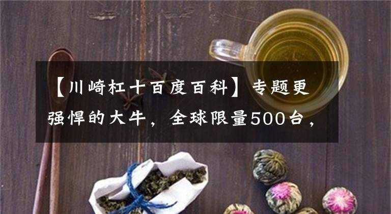 【川崎杠十百度百科】专题更强悍的大牛,全球限量500台,只为赛道而生,川崎ZX-10RR赛道版