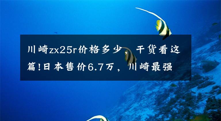 川崎zx25r价格多少，干货看这篇!日本售价6.7万，川崎最强四缸ZX-25R亮相，你的情怀之车来了