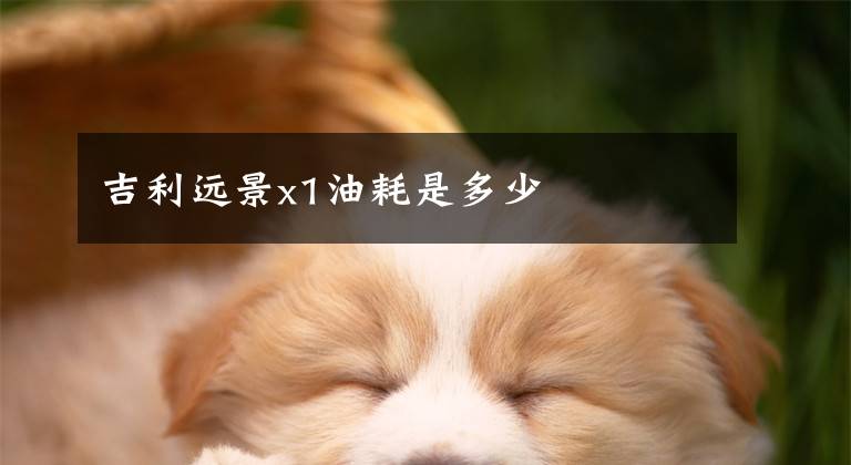 吉利远景x1油耗是多少