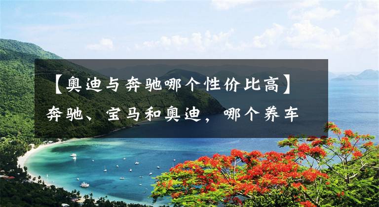 【奥迪与奔驰哪个性价比高】奔驰、宝马和奥迪，哪个养车成本最低？质量是否都一样？