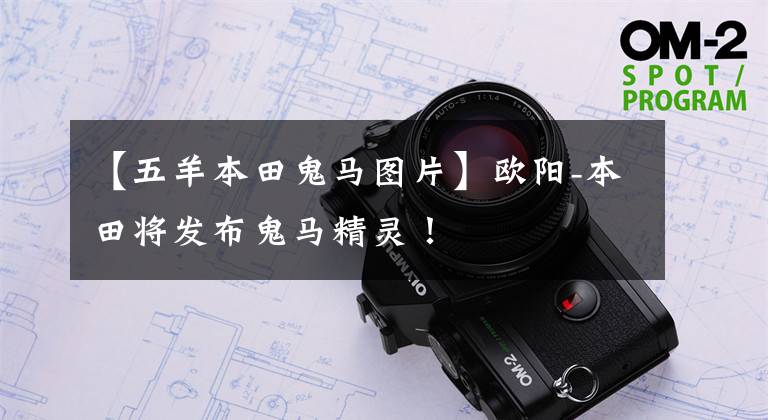 【五羊本田鬼马图片】欧阳-本田将发布鬼马精灵!