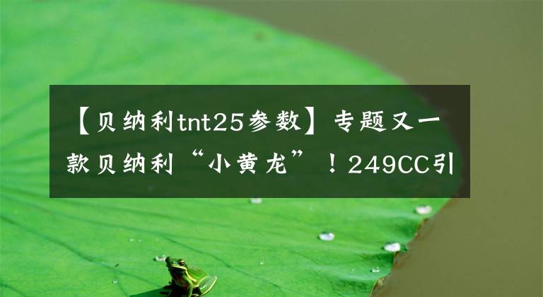【贝纳利tnt25参数】专题又一款贝纳利“小黄龙”!249CC引擎+6速,续航500公里,1万多元