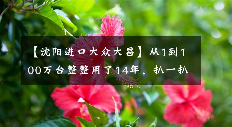 【沈阳进口大众大昌】从1到100万台整整用了14年,扒一扒重汽豪沃牵引车的前世今生