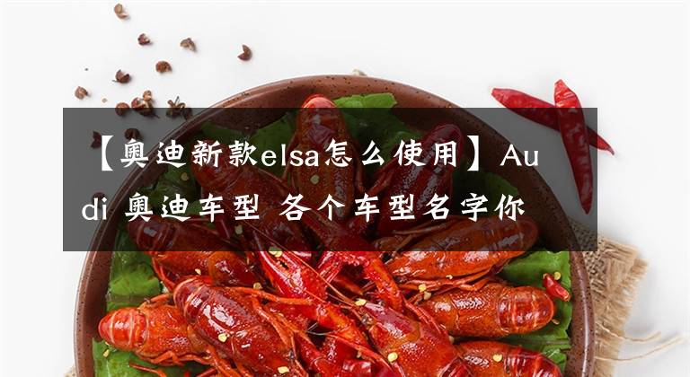 【奥迪新款elsa怎么使用】Audi 奥迪车型 各个车型名字你们知道怎么定义吗？