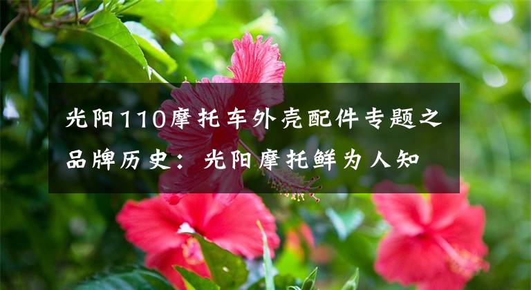光阳110摩托车外壳配件专题之品牌历史:光阳摩托鲜为人知的秘密