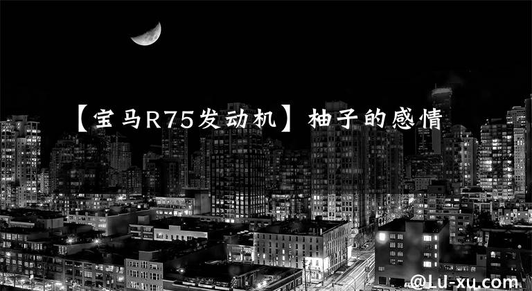 【宝马R75发动机】柚子的感情