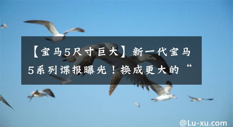 【宝马5尺寸巨大】新一代宝马5系列谍报曝光!换成更大的“双信”,或计划在2023年上市