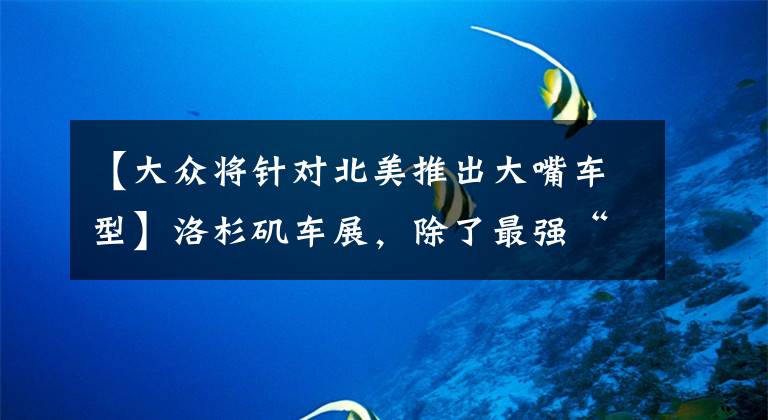 【大众将针对北美推出大嘴车型】洛杉矶车展，除了最强“五菱宏光”还能看什么？