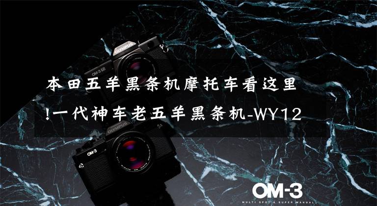 本田五羊黑条机摩托车看这里!一代神车老五羊黑条机-WY125