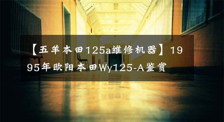 【五羊本田125a维修机器】1995年欧阳本田Wy125-A鉴赏