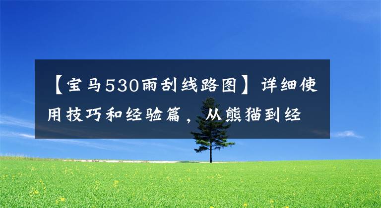 【宝马530雨刮线路图】详细使用技巧和经验篇,从熊猫到经典直六五三十里豪华版(第二部分)
